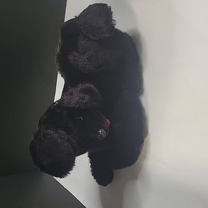 Vintage poodle radoo